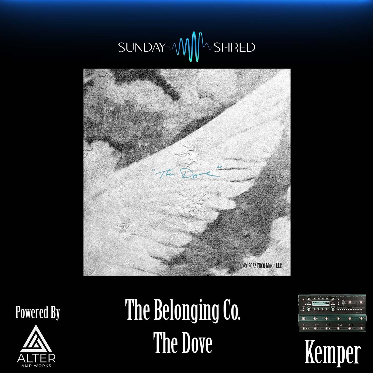 The Dove - The Belonging Co  -  Kemper Performance